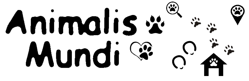 Mascotas Animalismundi